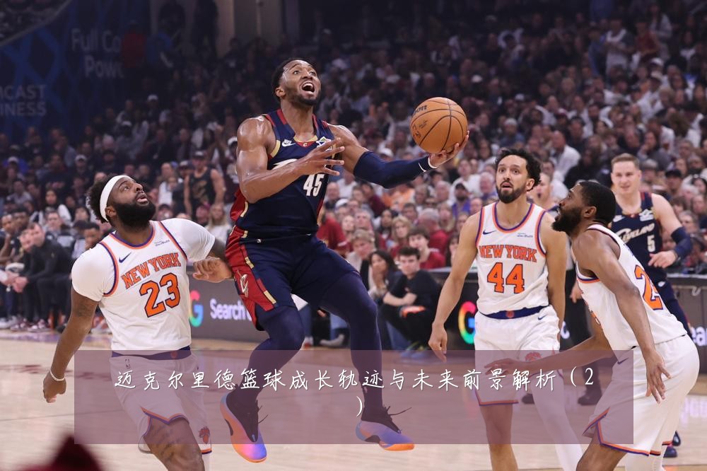 迈克尔里德篮球成长轨迹与未来前景解析（2）