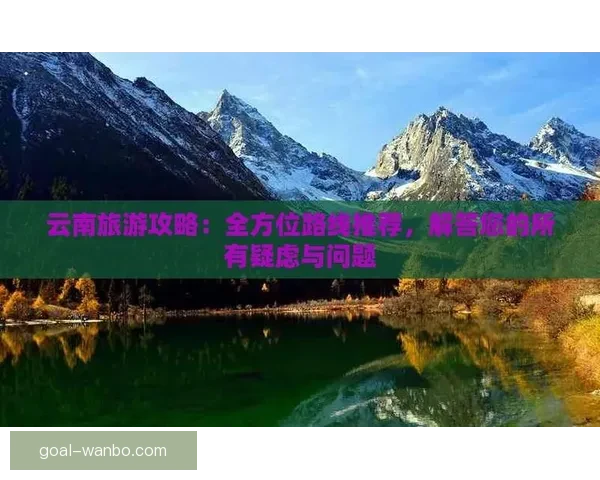 世界杯精彩赛事预测与投注攻略全面指南分享